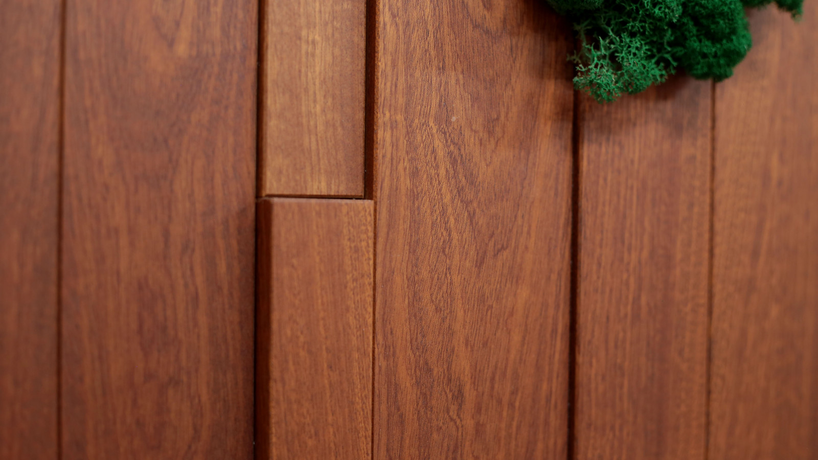 Стеновые панели Сапелле со мхом