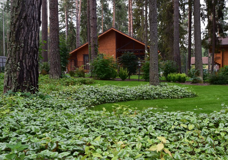«Пряничный домик» в сосновом бору