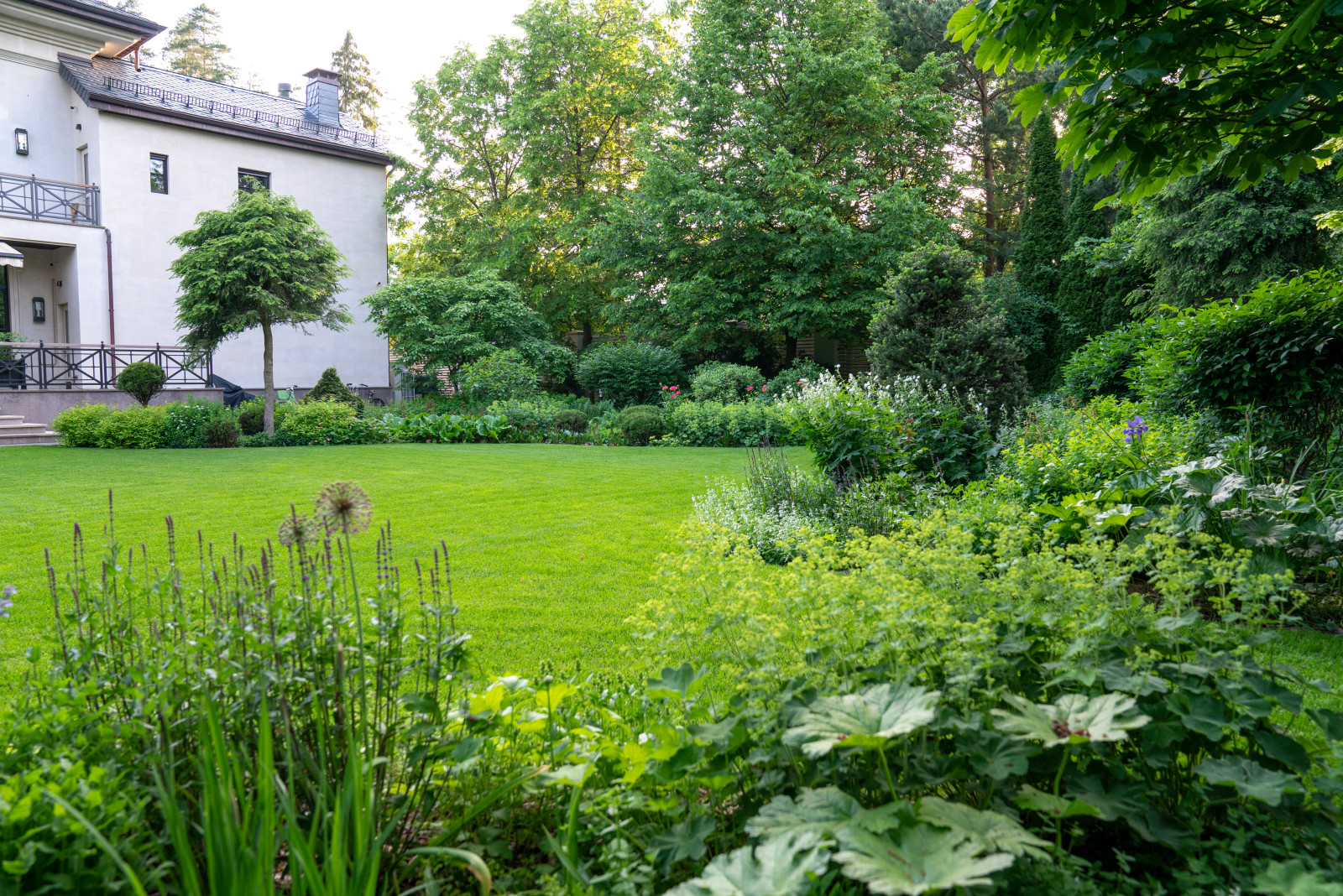 Очарование английского сада КП Балтия 2018 г