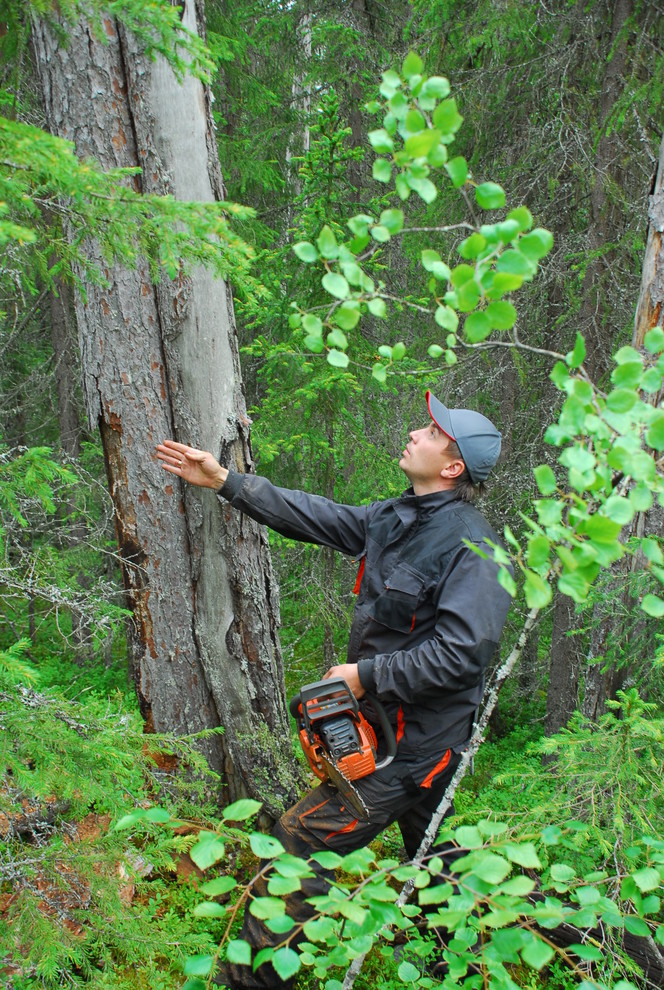 Производство и заготовка