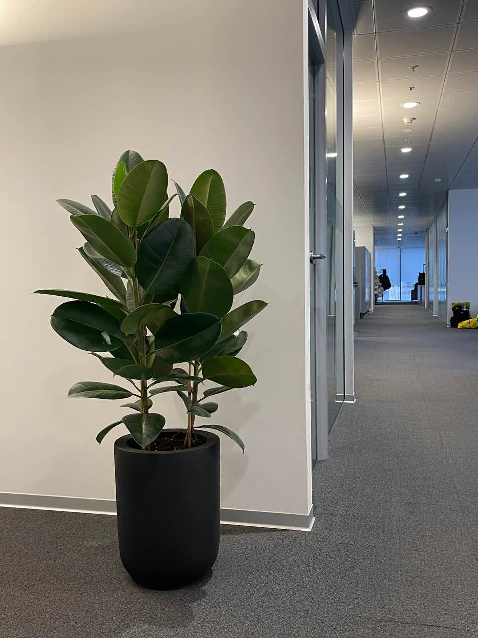 Офис Технодинамика г. Москва