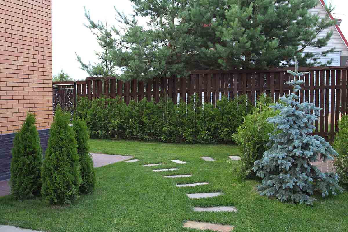 Деревня Дубровки