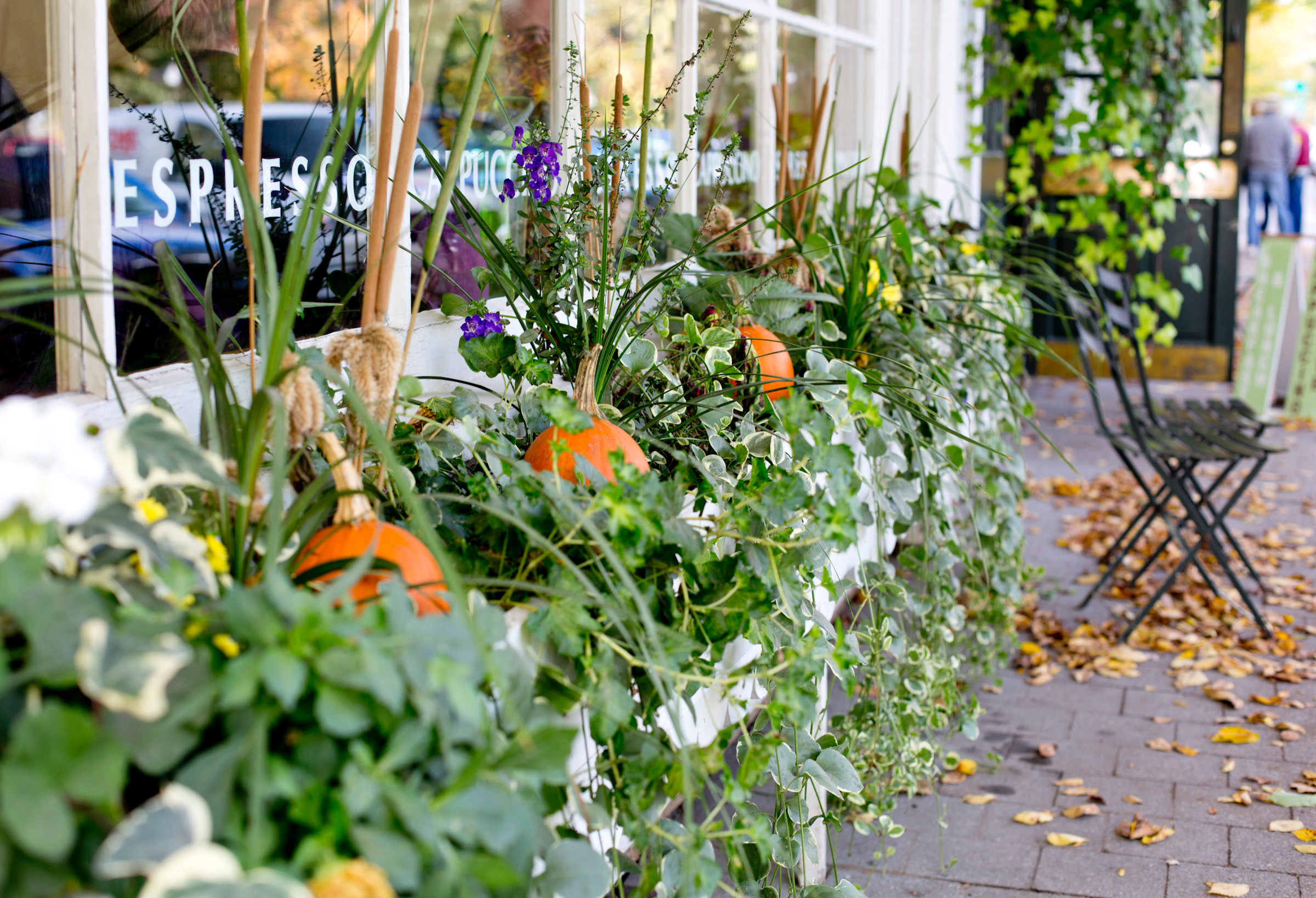 Фотоохота: 45 идей осенних кашпо