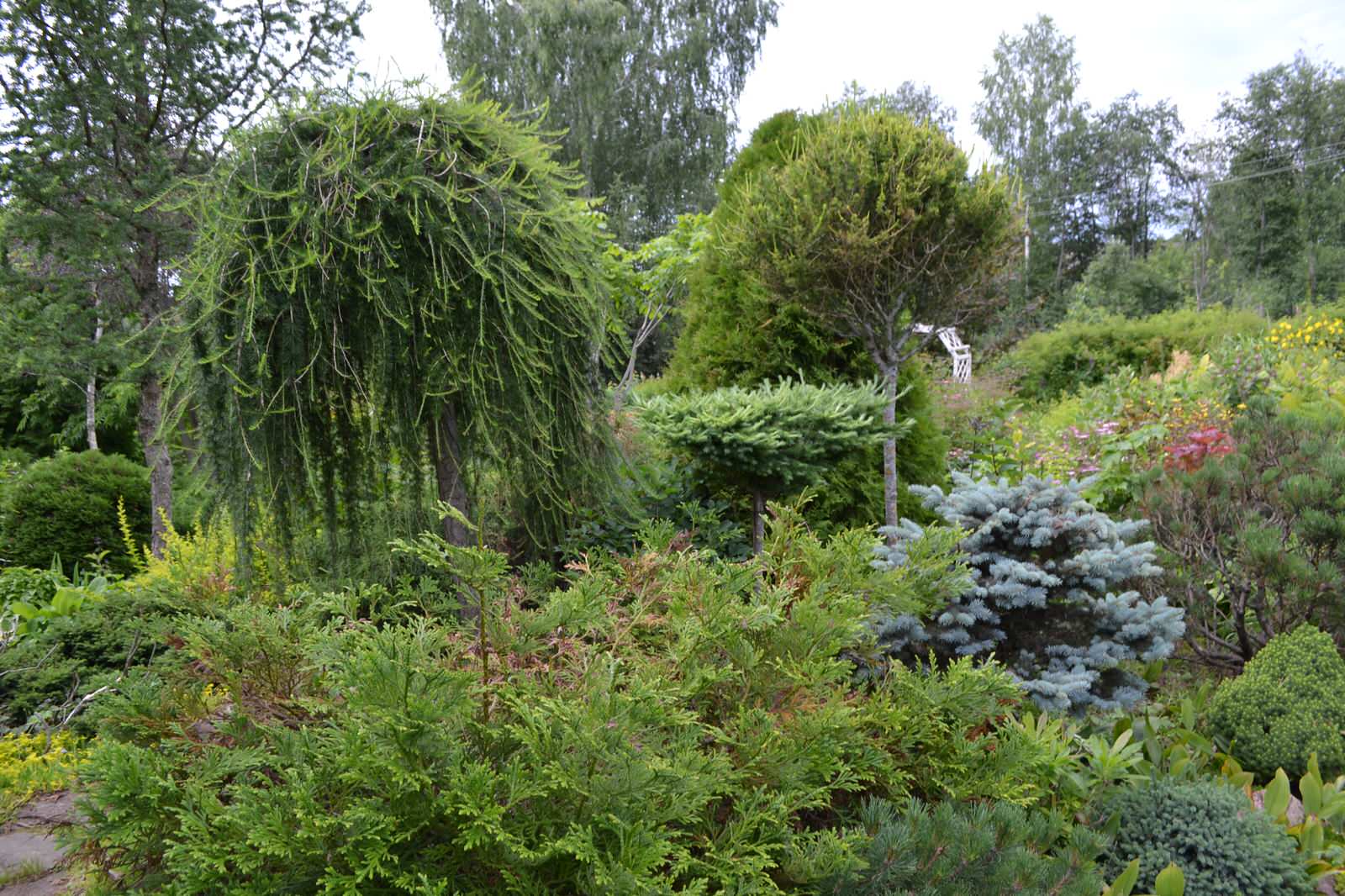 Сад  «Моя цветущая планета».