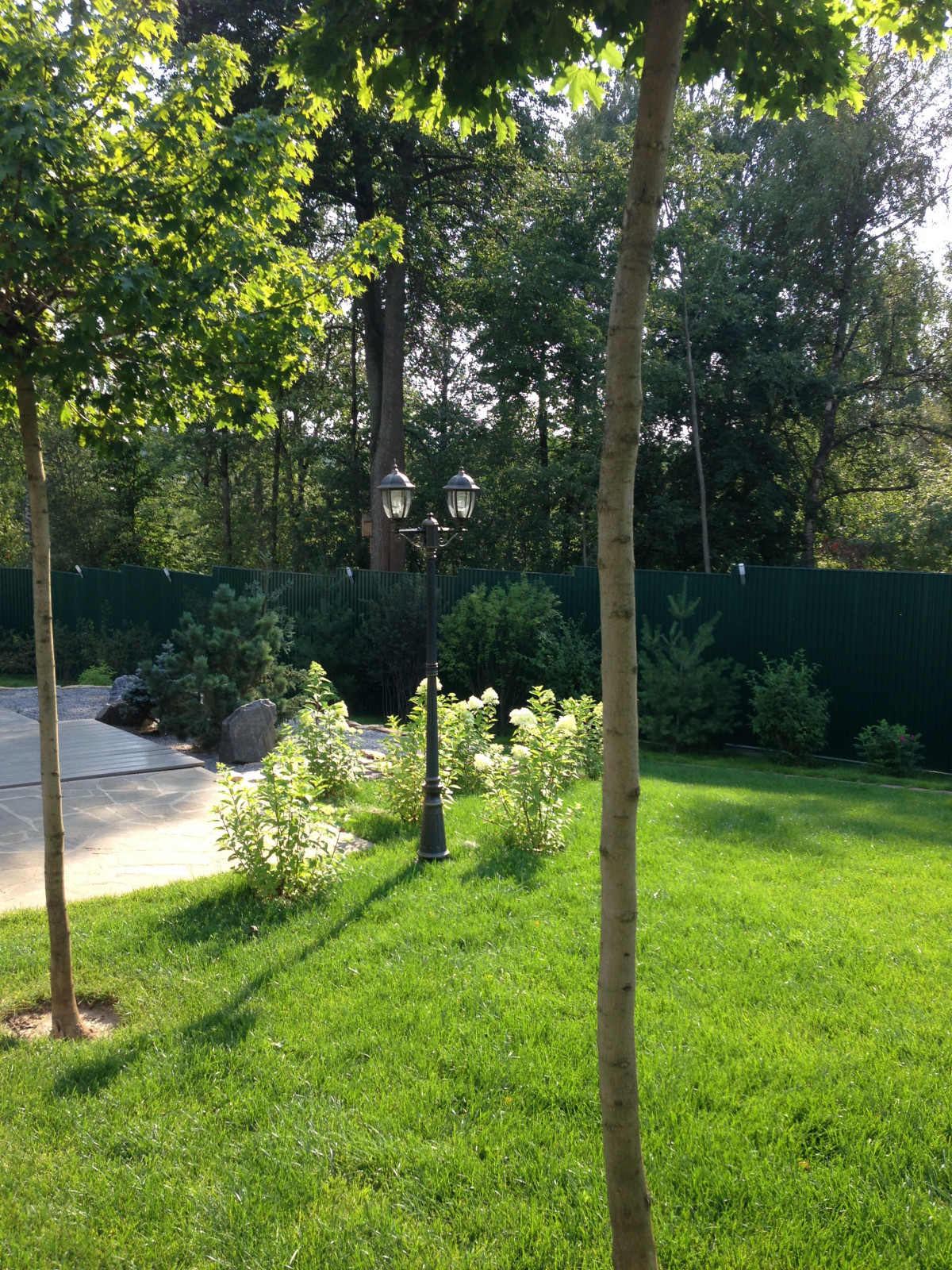 Деревня Алексино Истринского района