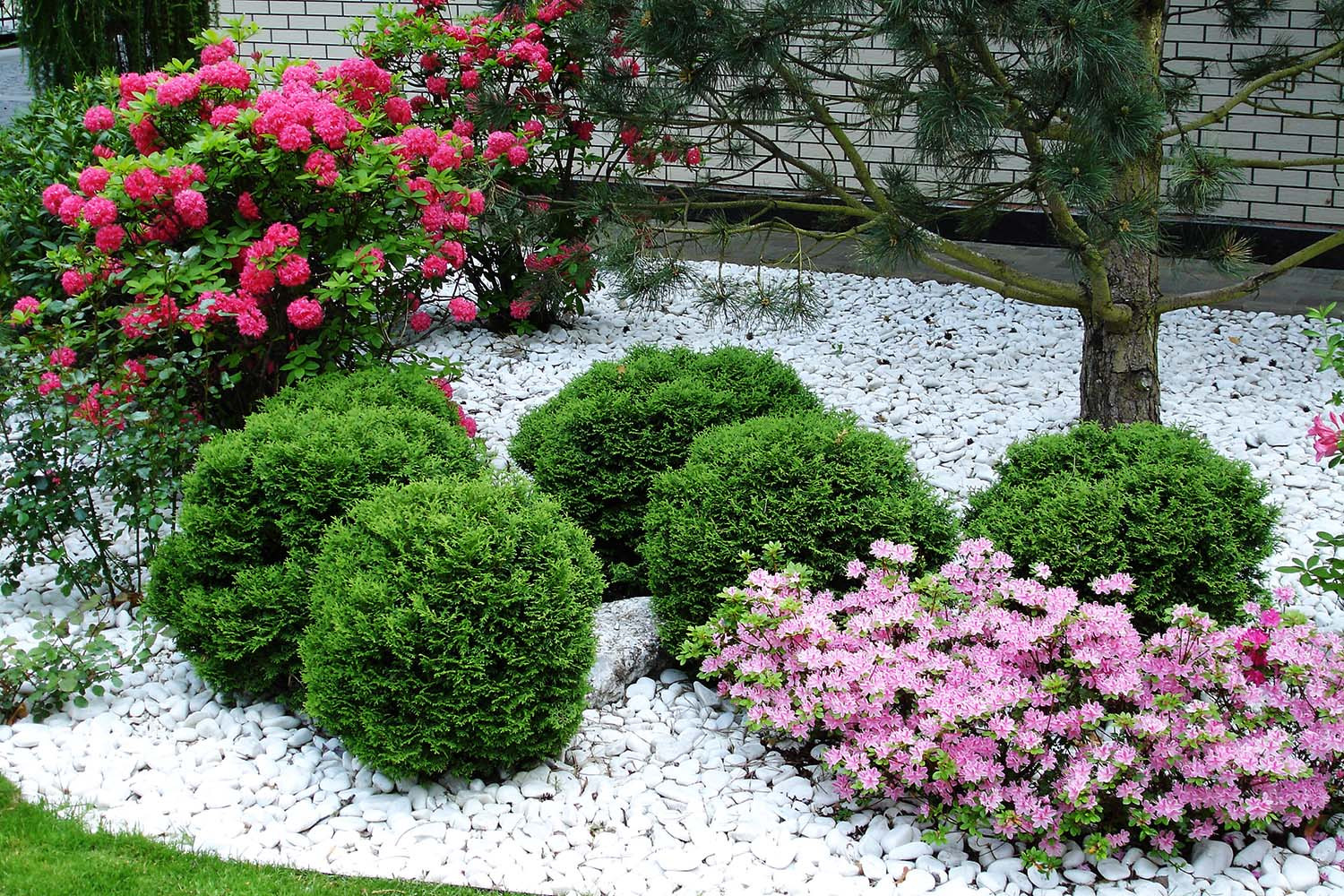 Сад с водоемом в КП " Сосновый Бор"