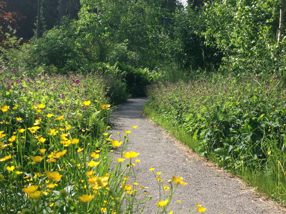 Сад «Лебединое озеро»