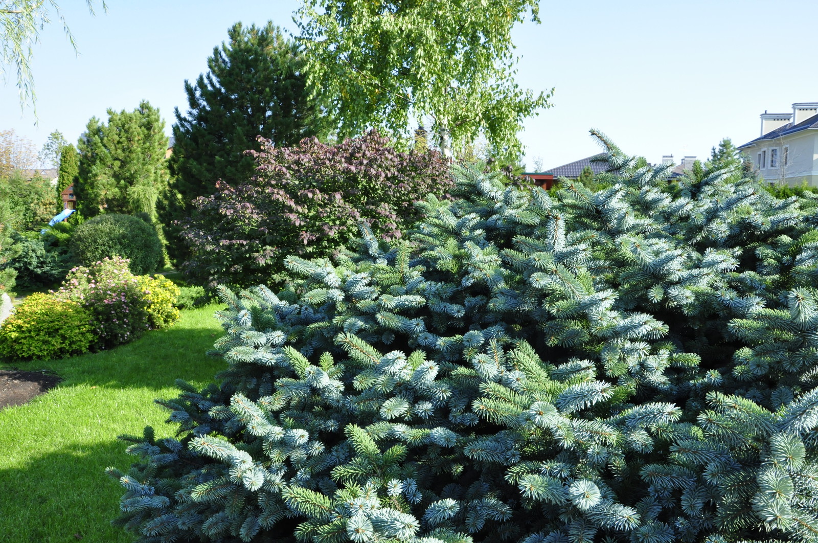 кп "Бенелюкс" - Уход за садом - 100% качество