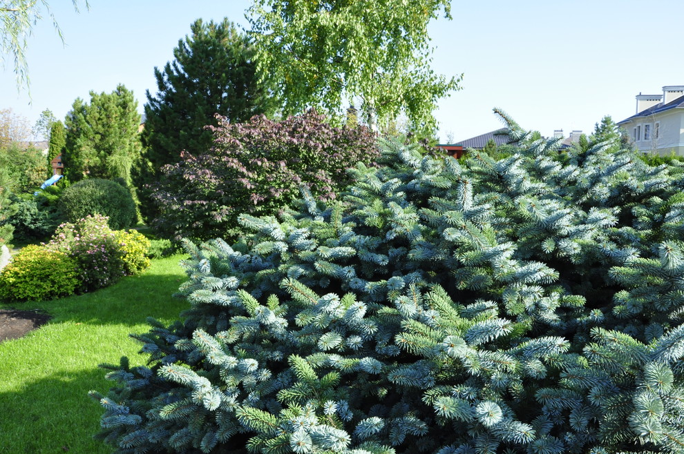 кп "Бенелюкс" - Уход за садом - 100% качество