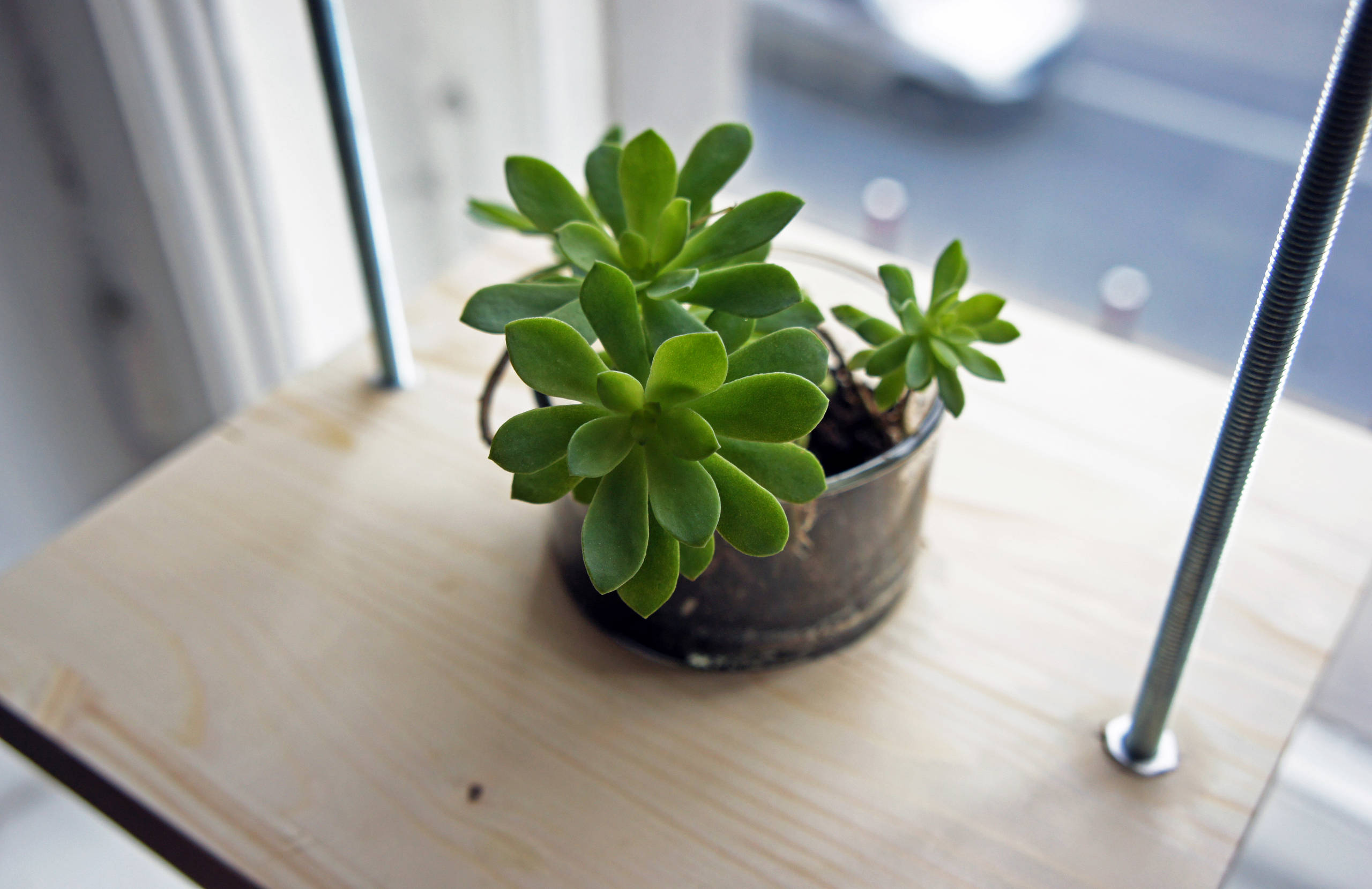 DIY: Подвесная полка для растений