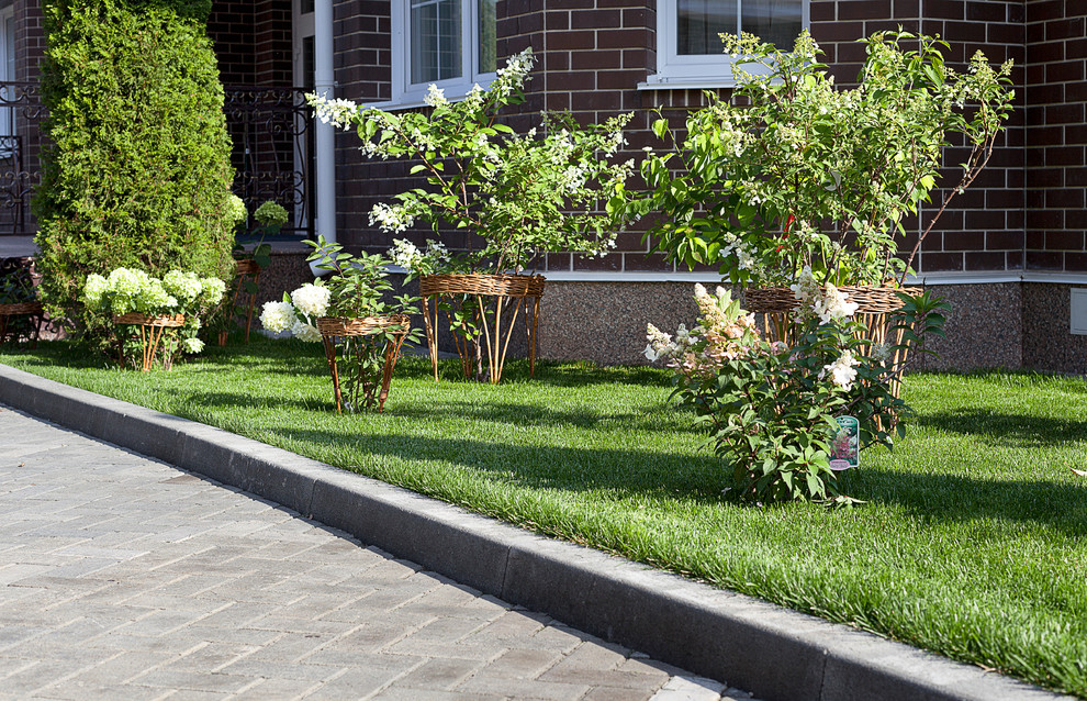 Вавиловец 1