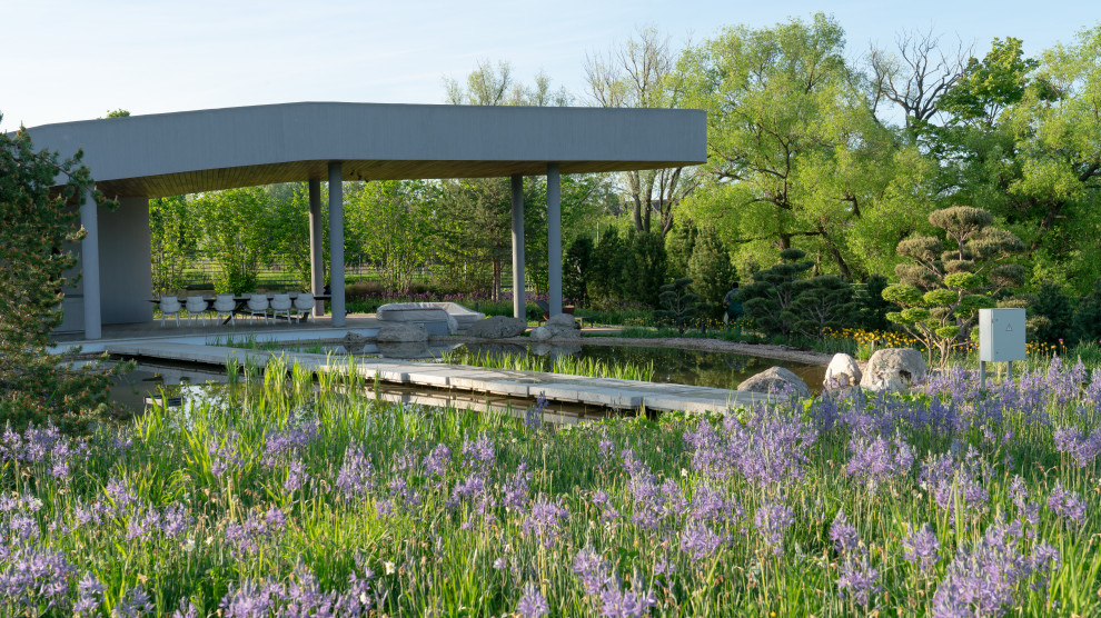 Природный сад. Жуковка XXI век. 2017-2018 гг.Arcadiagarden xСад Аркадия xArcad