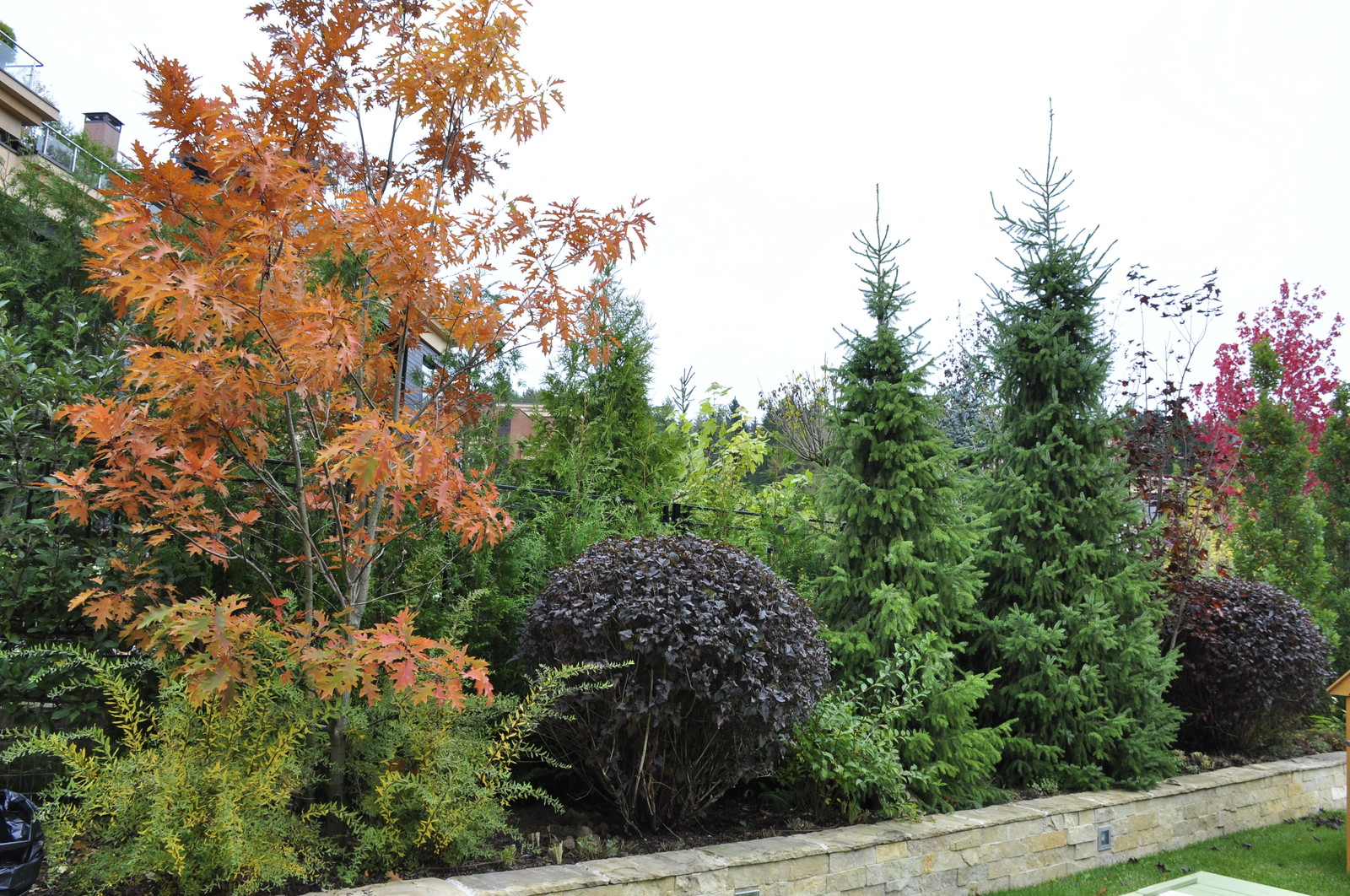 кп "Фортопс" - Профессиональный уход за садом - 100% качество!