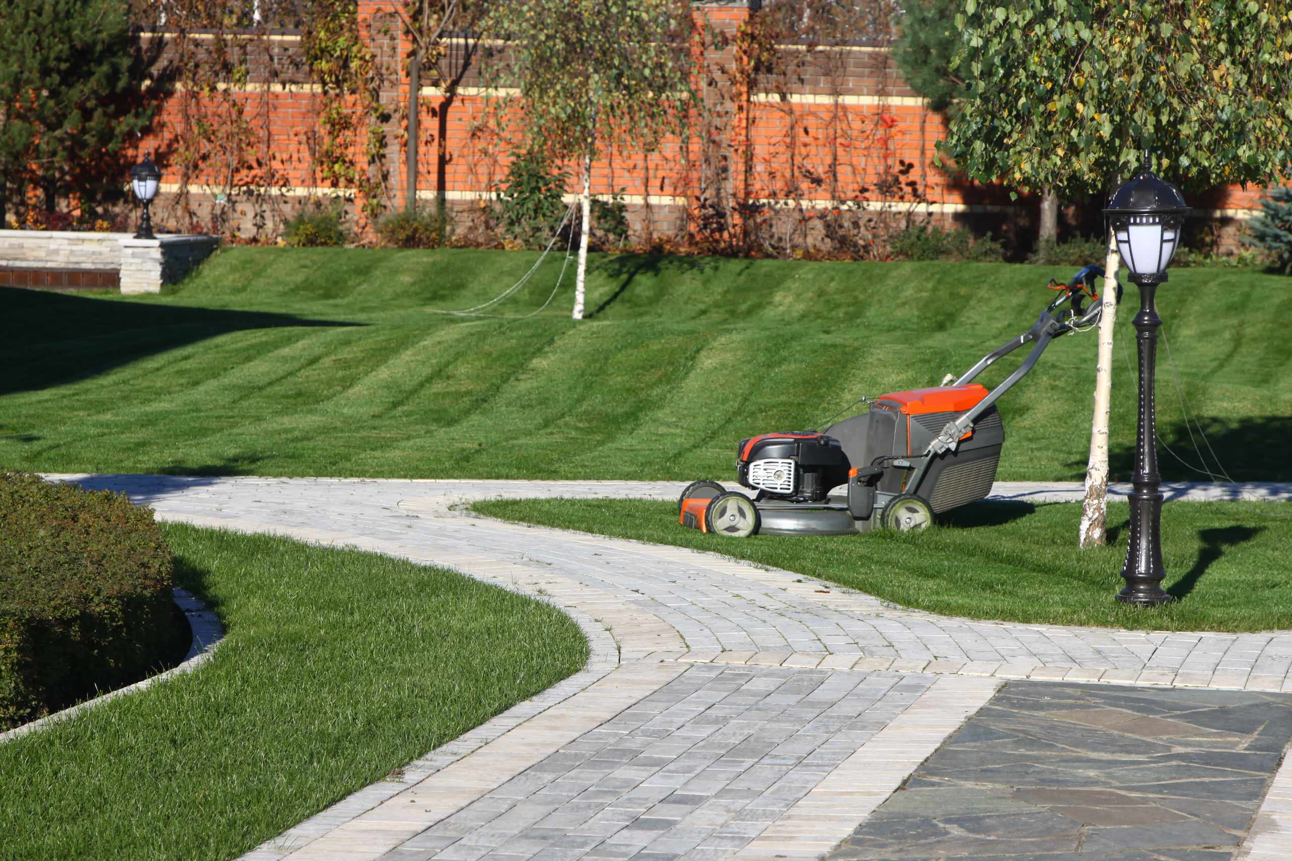 Приоритеты: Как ухаживать за садом, если у вас нет опыта