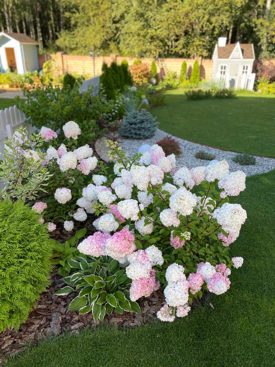 Фоновое изображение профиля Екатерина Чухась