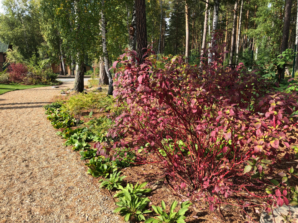 Усадьба на краю леса