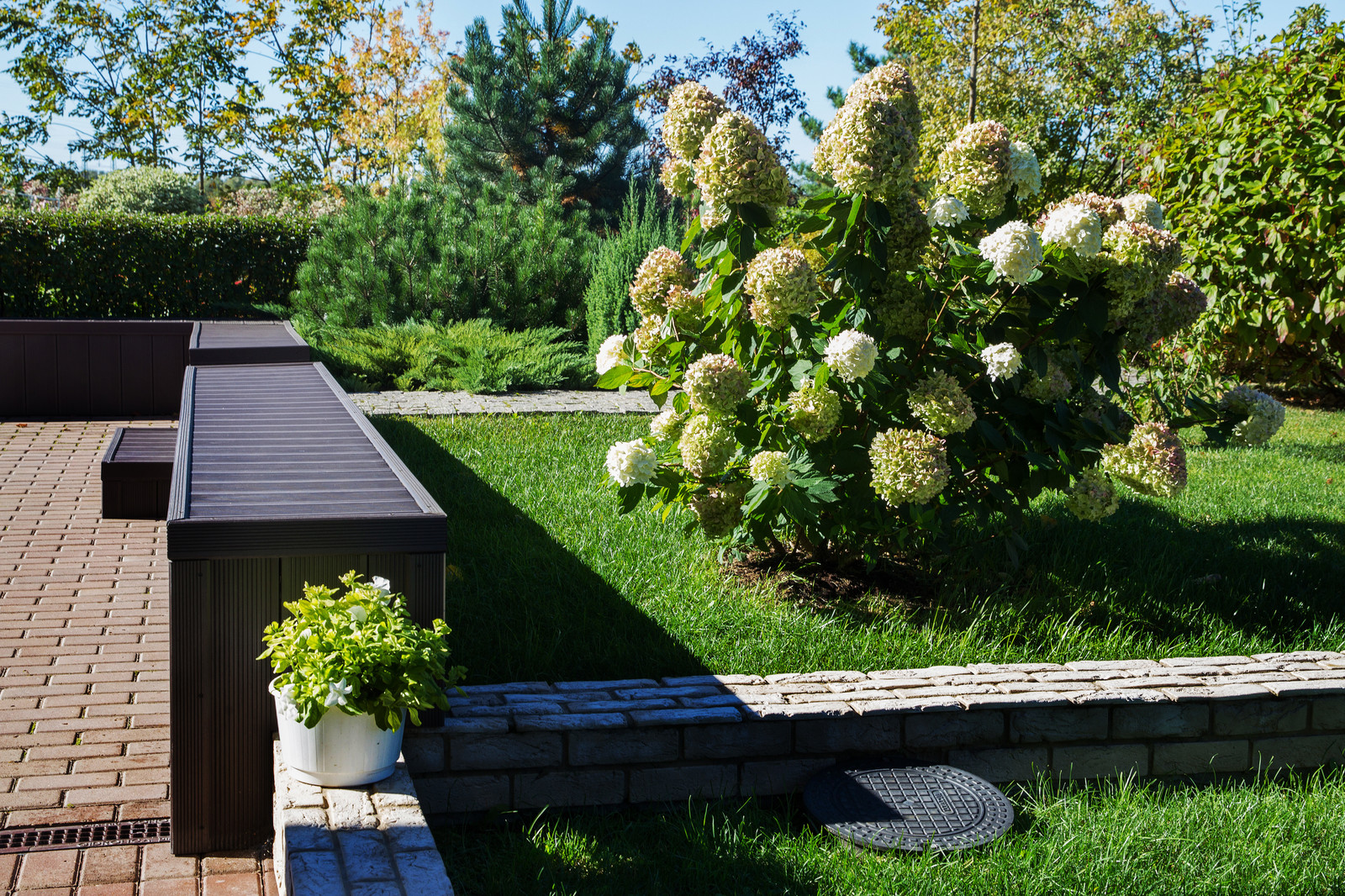 Сад на Пятницком шоссе.  Дизайнер Лариса Юрова