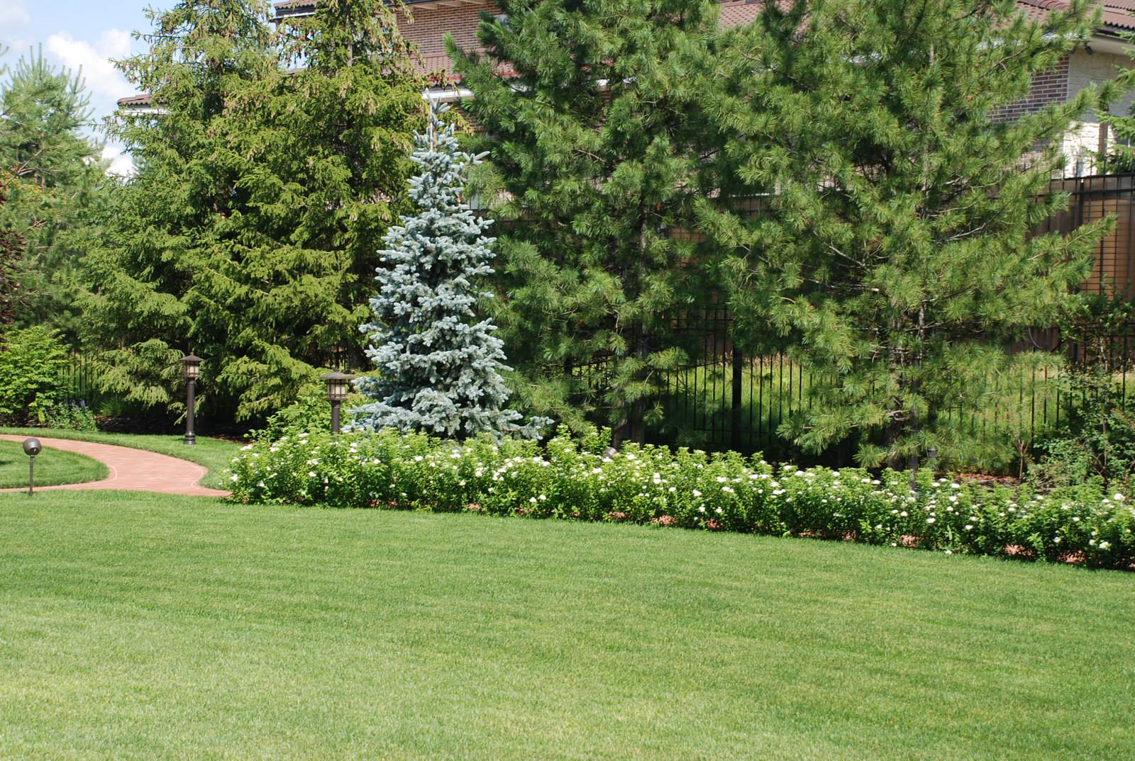 Сад в КП "Миллениум Парк"