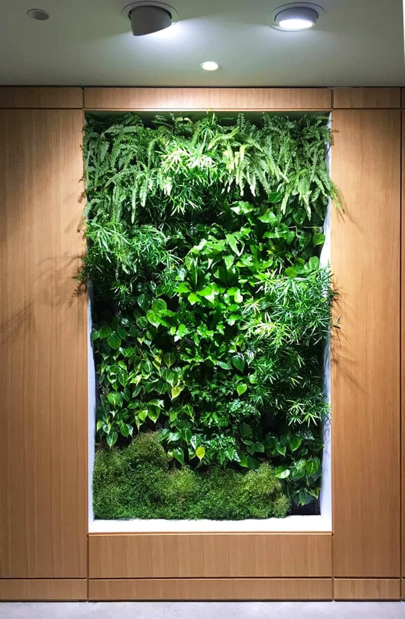 Обложка проекта: Фитостена в офисе