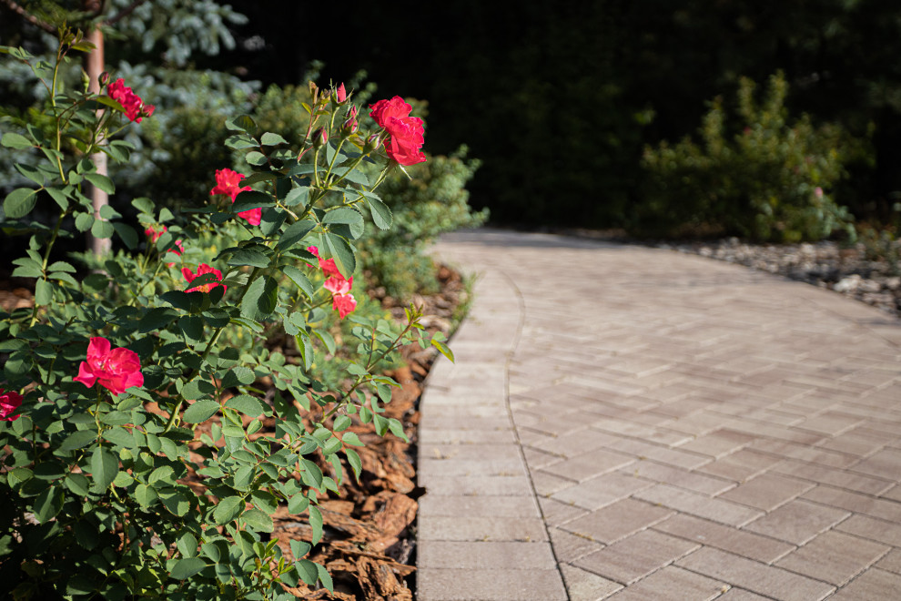 Обложка проекта: Ландшафтный дизайн. Полина Черных