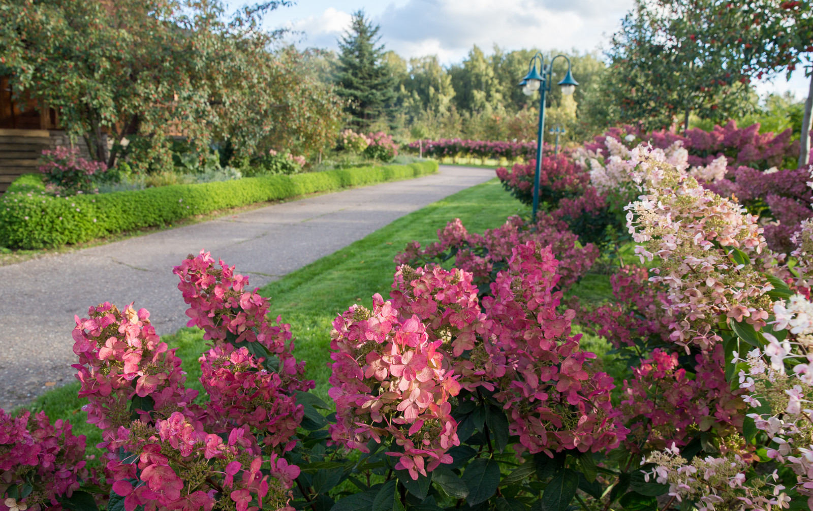 Парк в  Шаховском районе