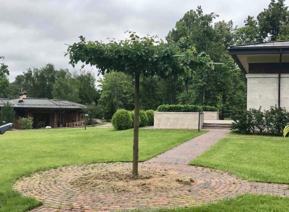 Частный парк Московская область