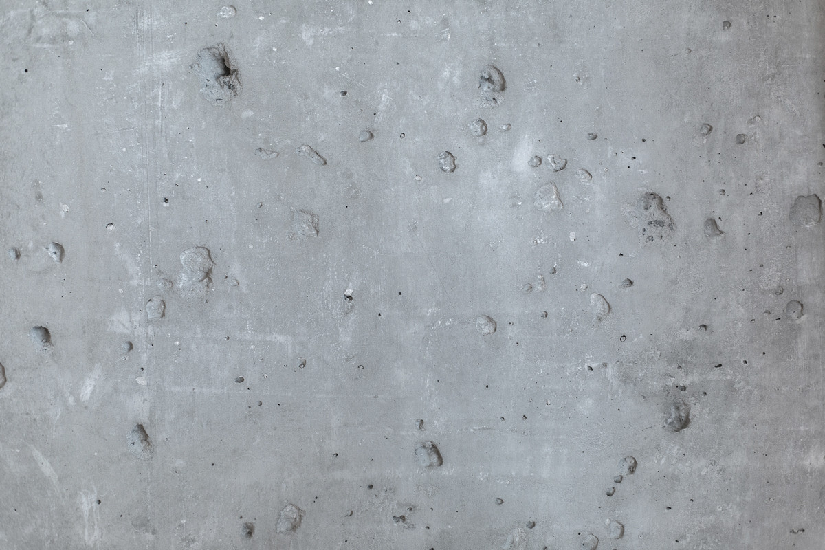 Peonies. Felt. Сoncrete.