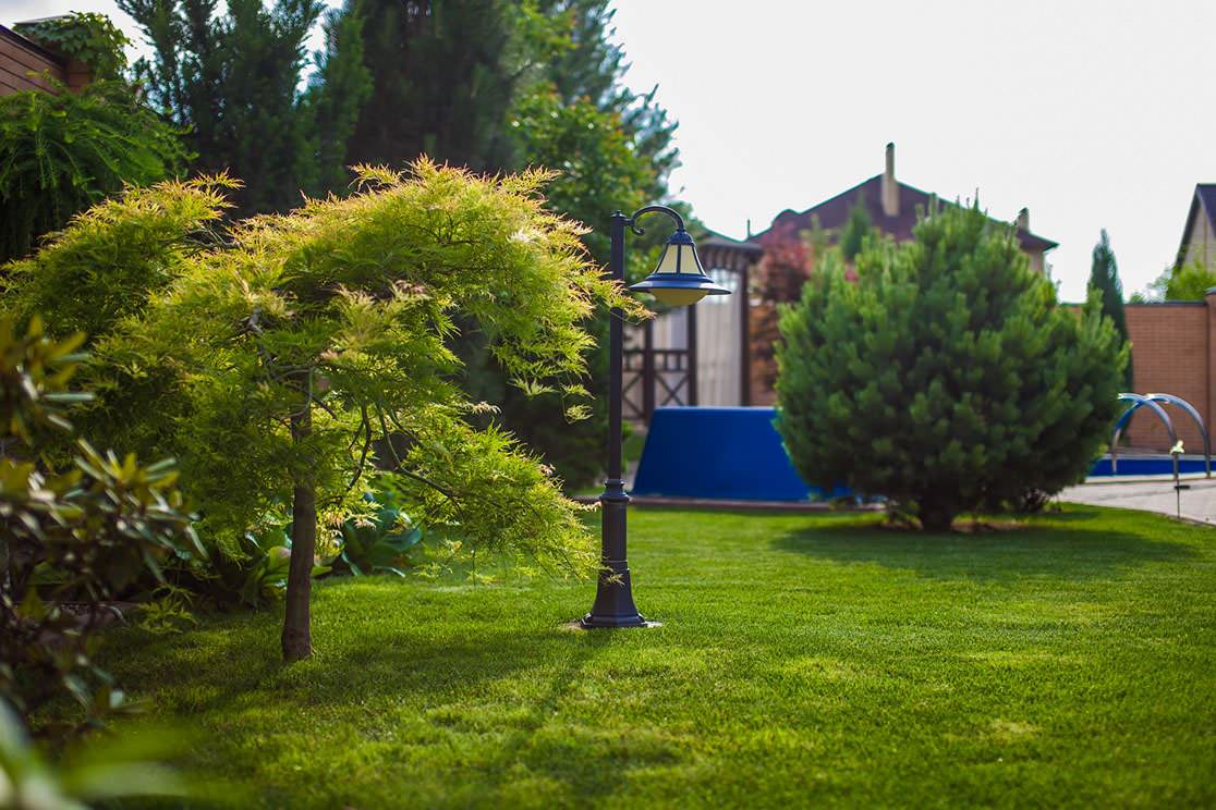 ландшафтный дизайн 2