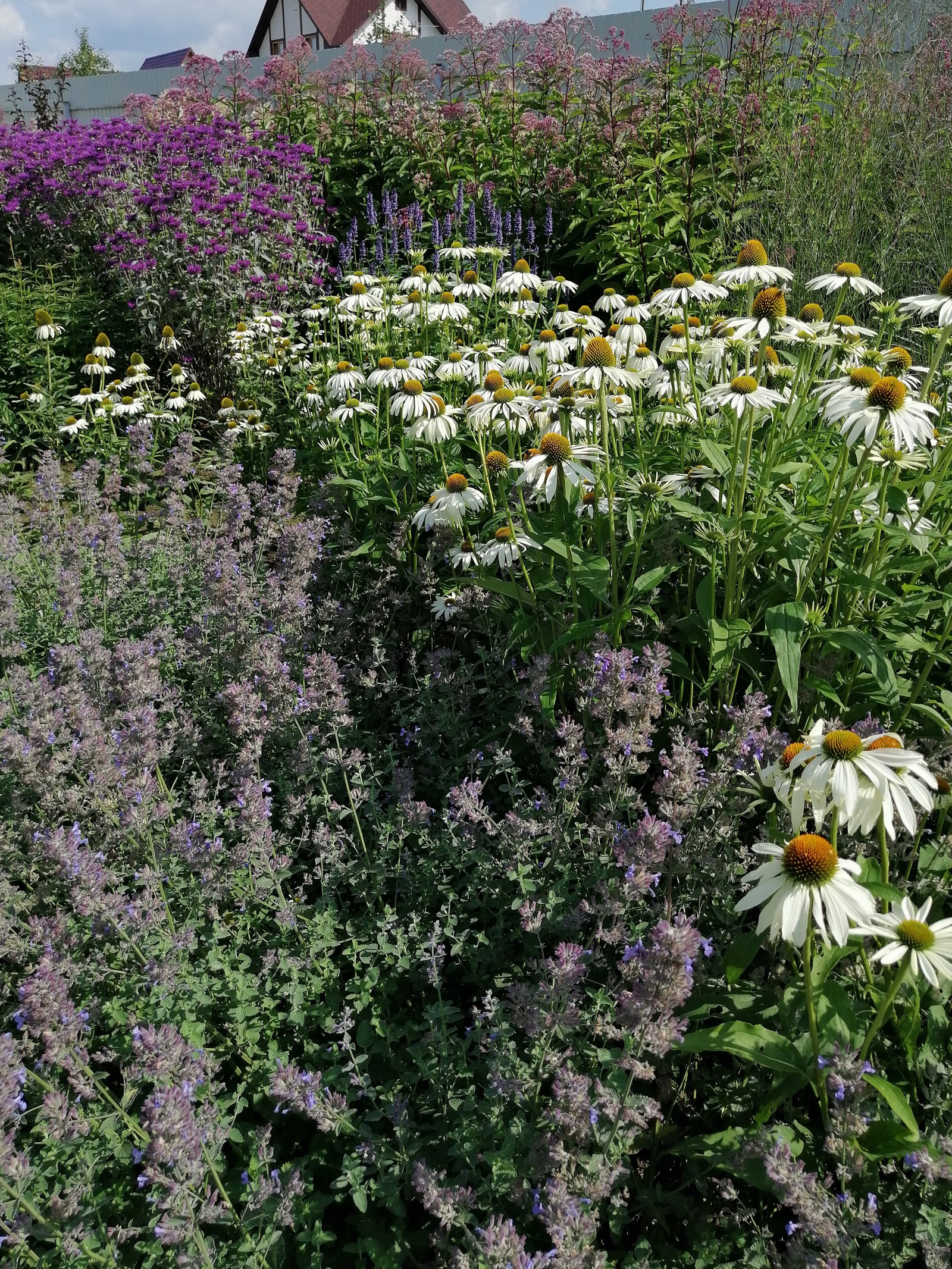 Обложка проекта: Подмосковный Прованс
