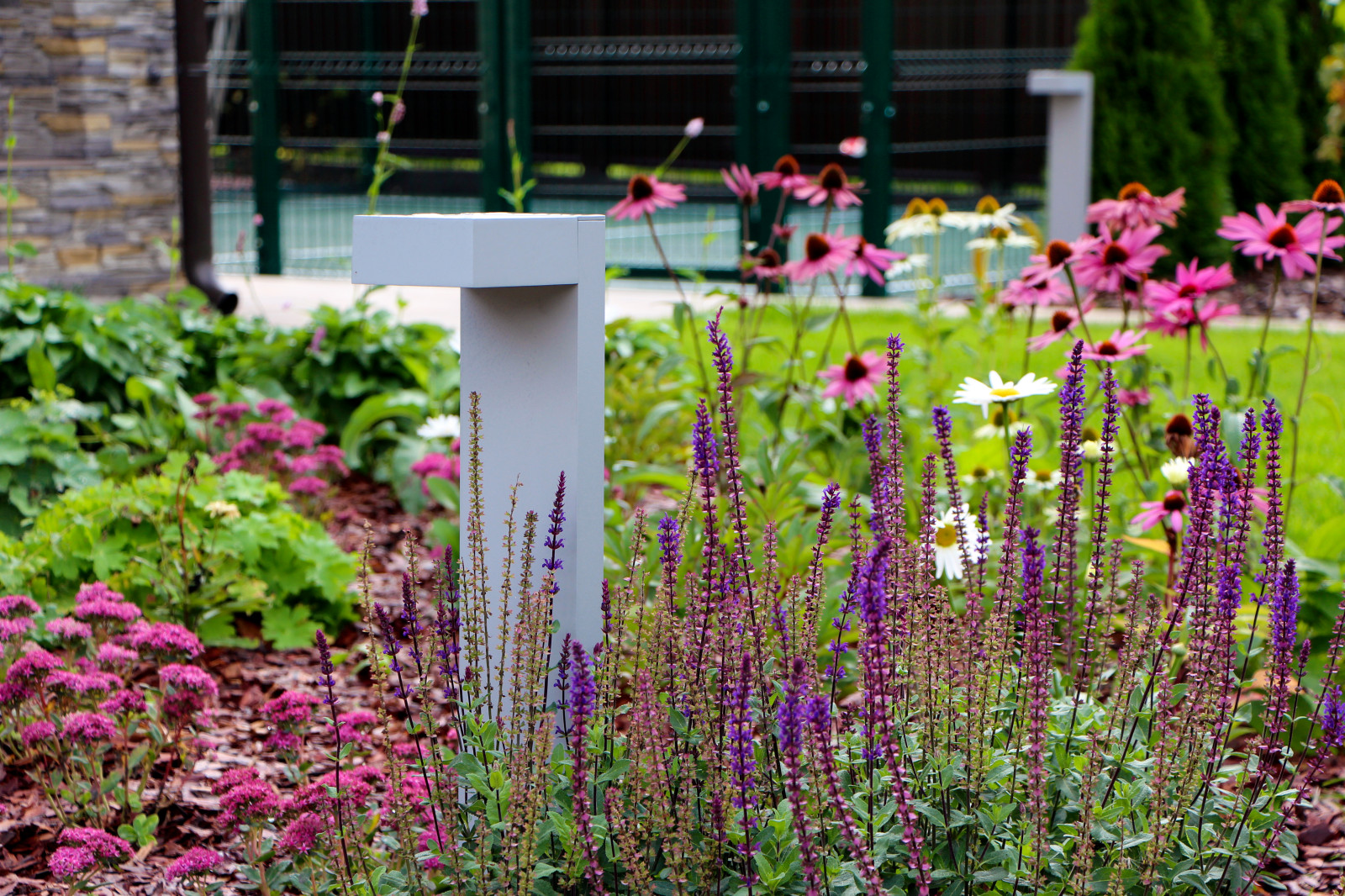 Петровское, 2018-2020 гг.