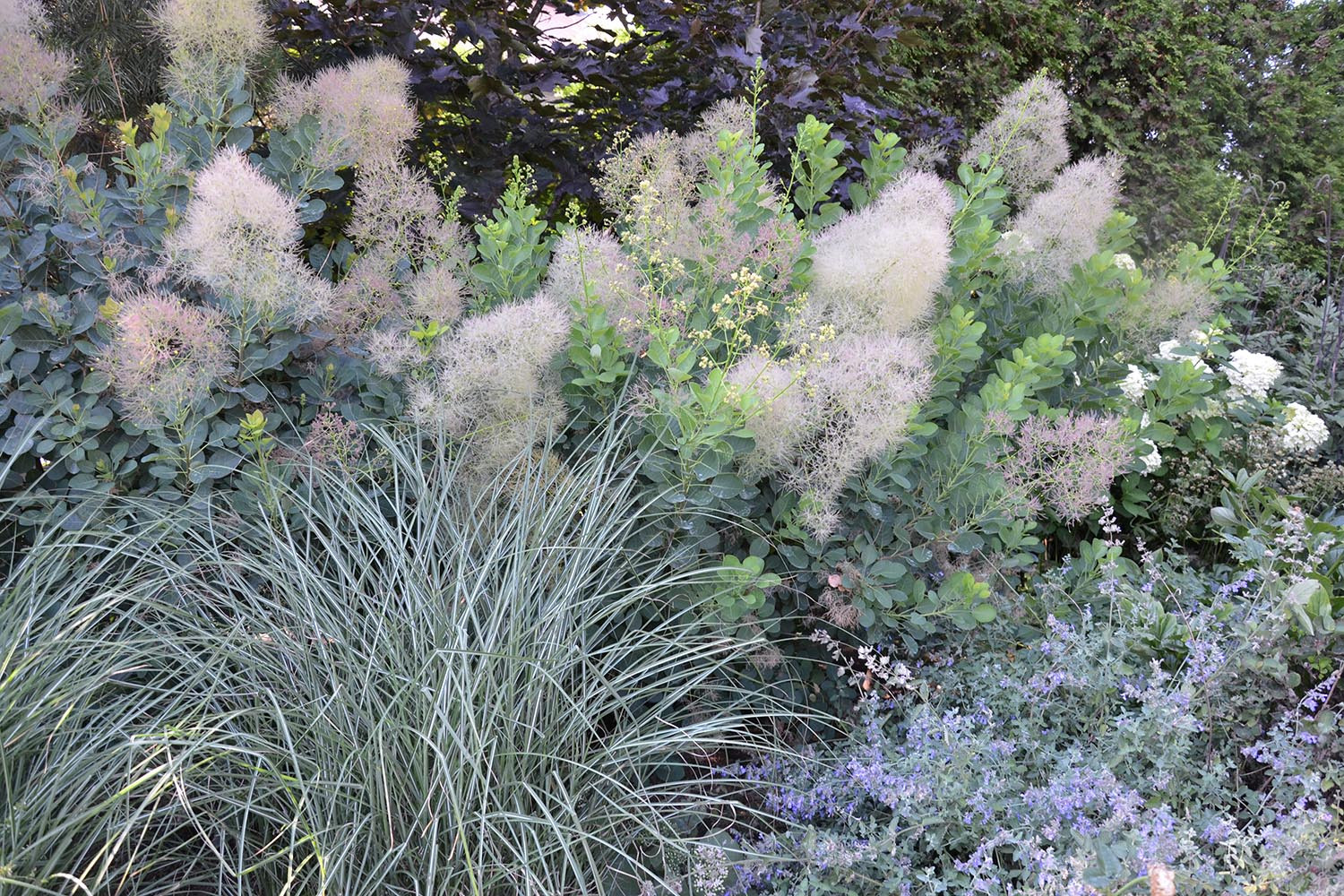 Современный сад в КП "Бенилюкс" вилла 2