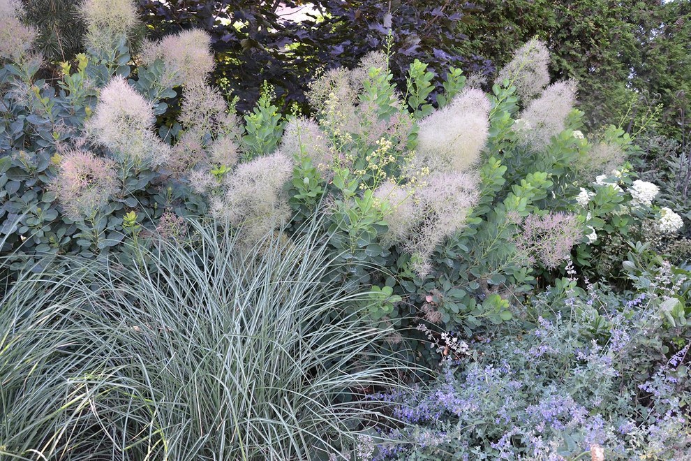 Современный сад в КП "Бенилюкс" вилла 2