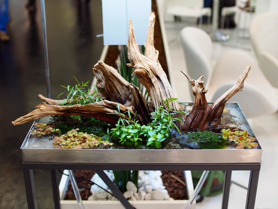 Обложка проекта: Хардскейп