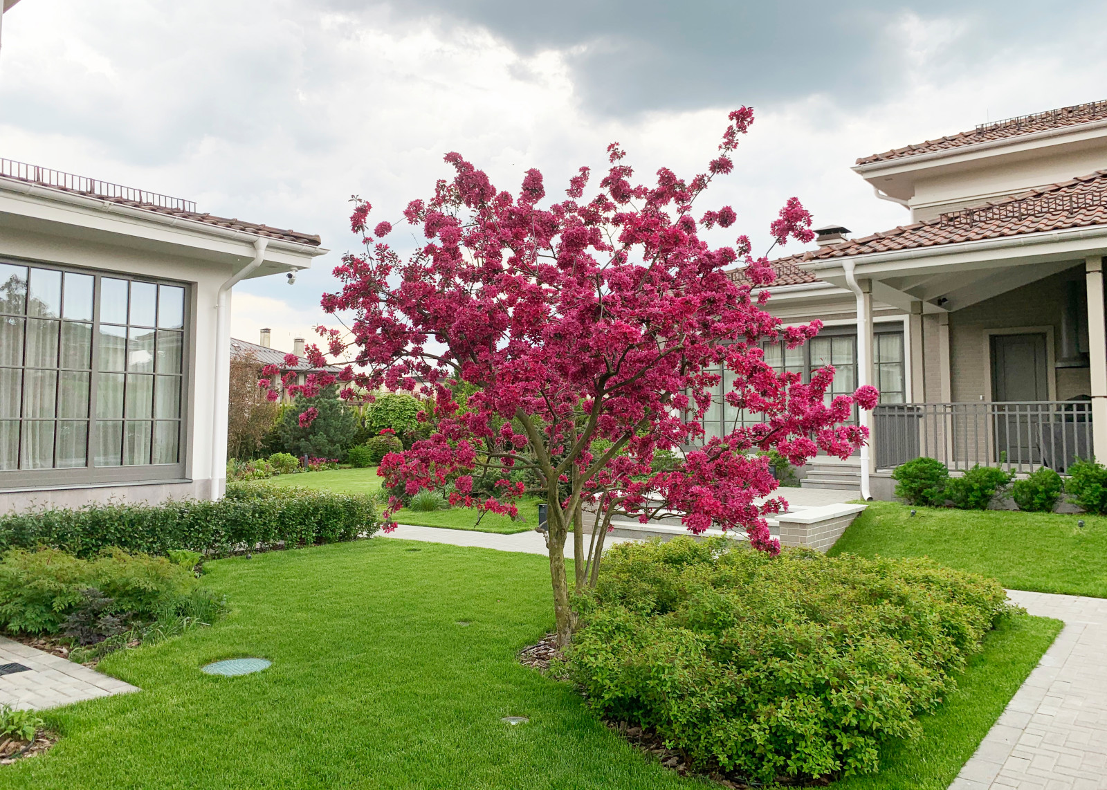 Игра контрастов. Миллениум Парк 2018 г.