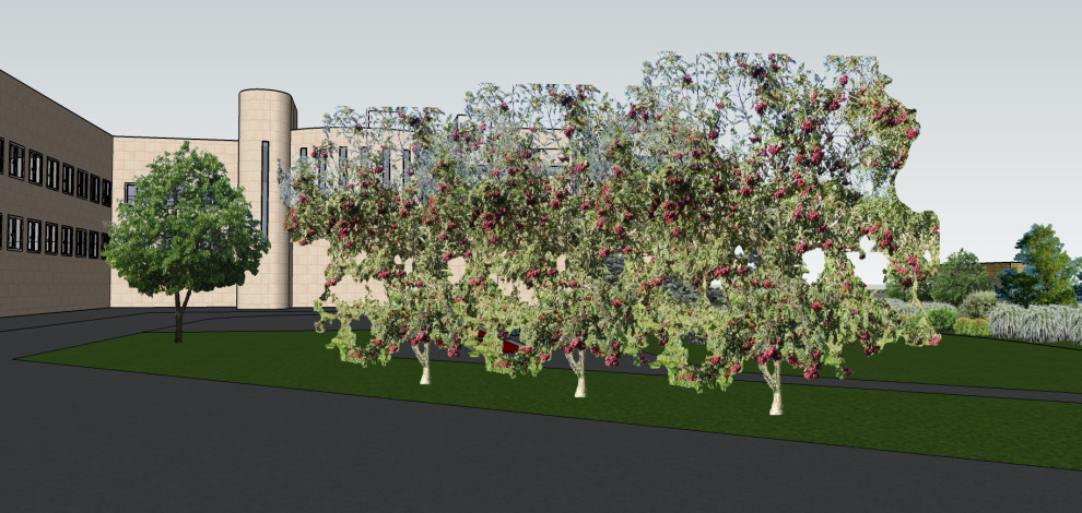 Проект Острова (ЦБ РФ)