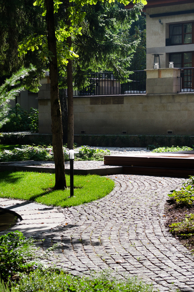 Глянцевый лес