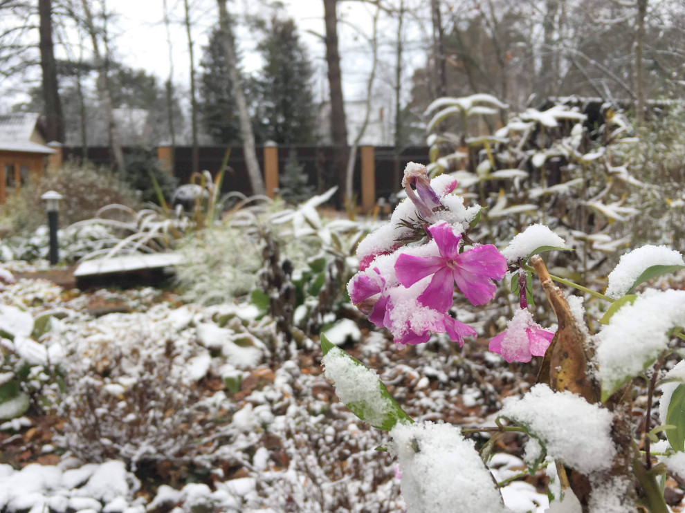 Белкин Сад. Предзимье 2019