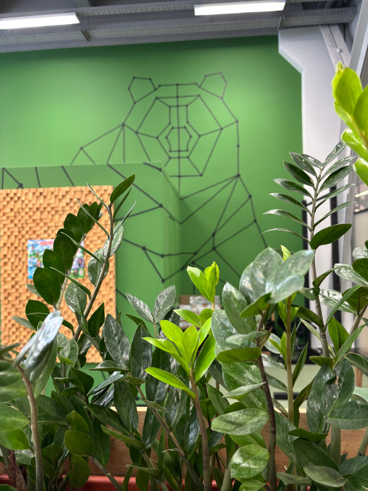 Обложка проекта: Индасофт