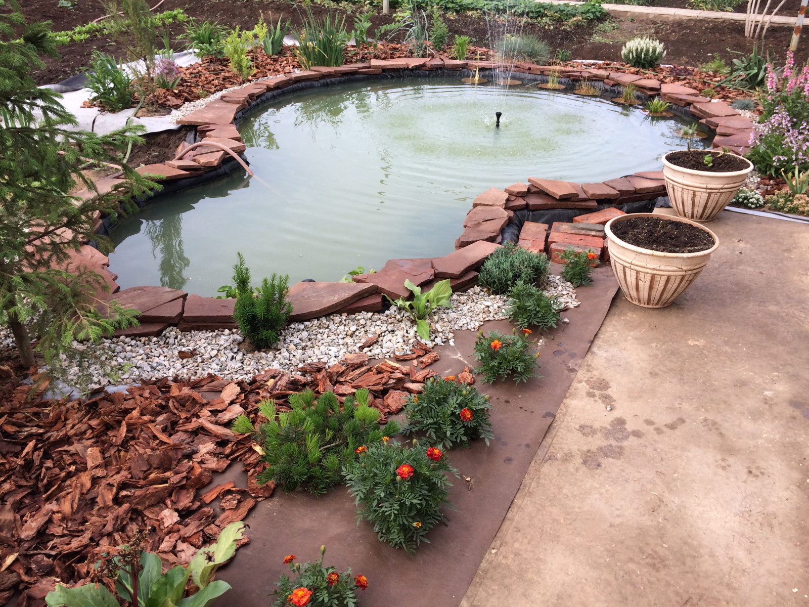 Садовый пруд с мостиком