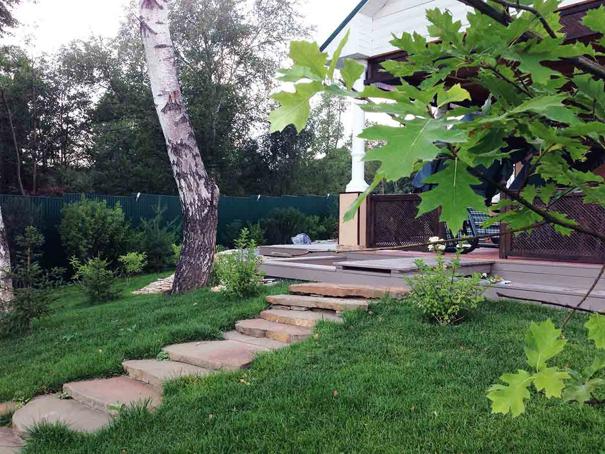 Деревня Алексино Истринского района