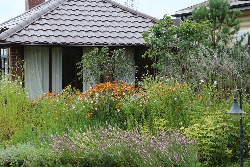 Как правильно: Выбрать растения для сада будущего года