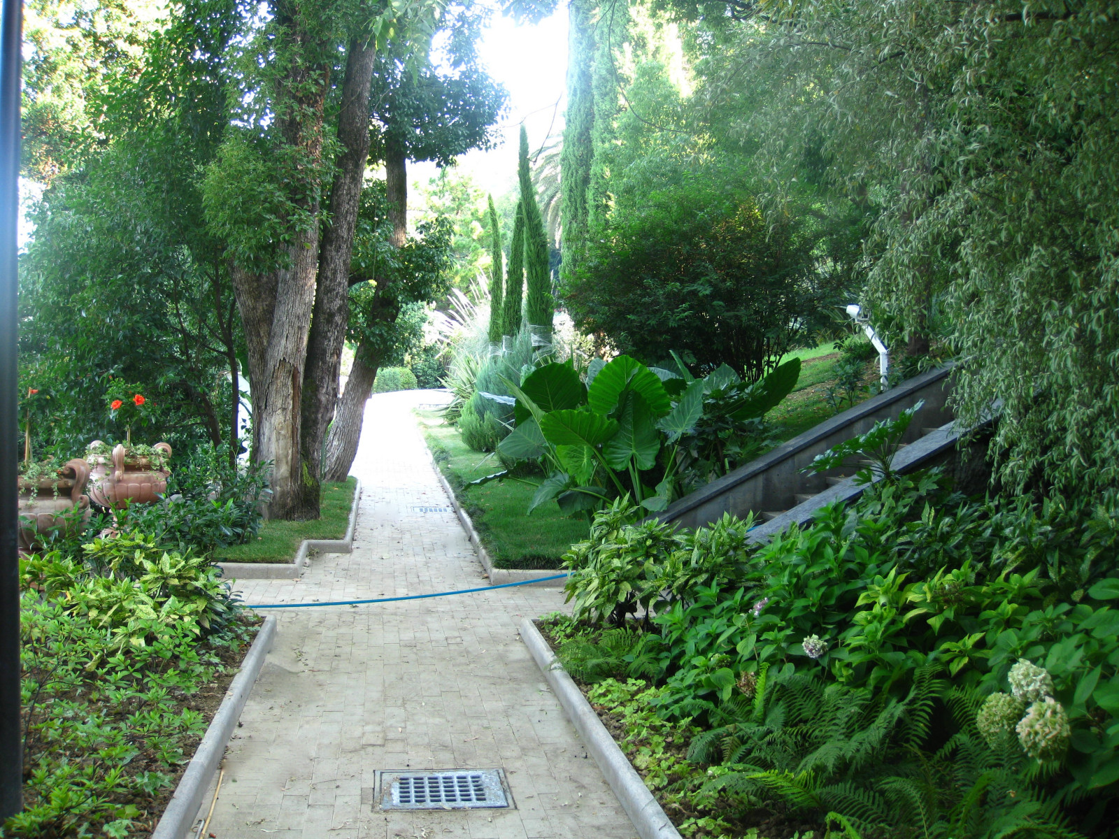 Студия ландшафтного дизайна SecretGardens