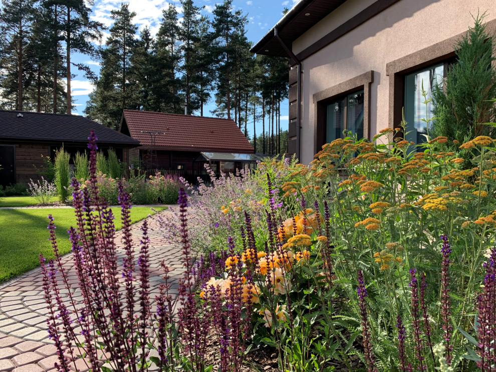 На солнечной поляне