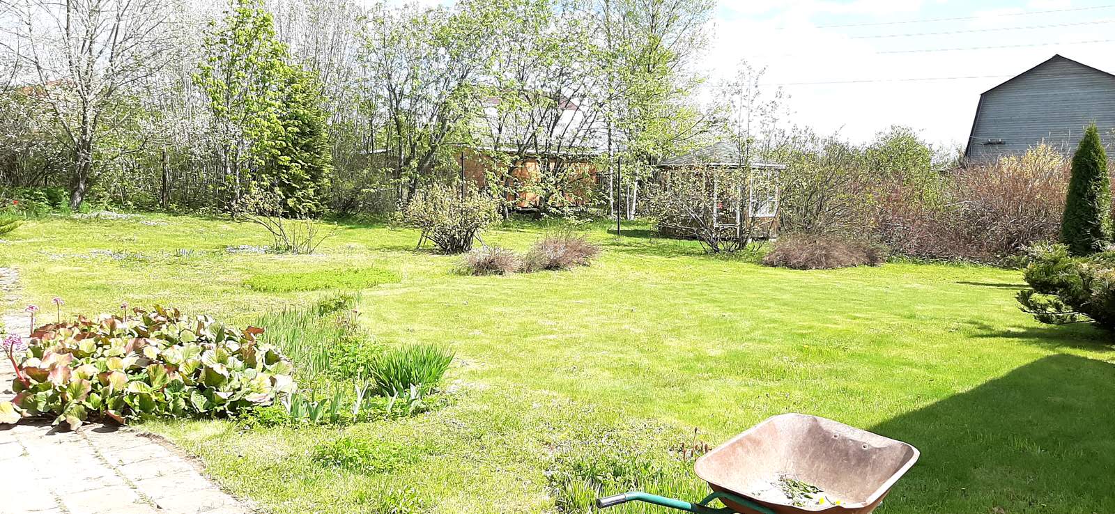 Новый взгляд