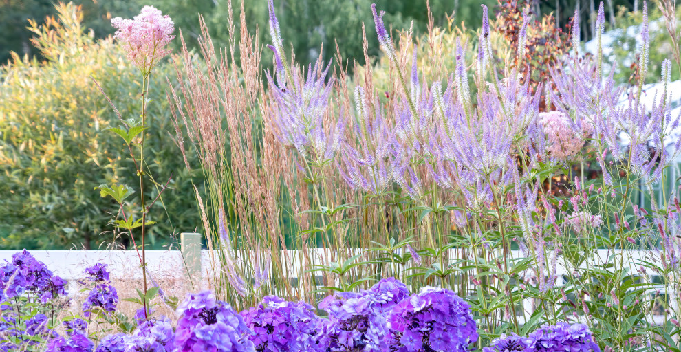 Дергаево - Цвет и нежность