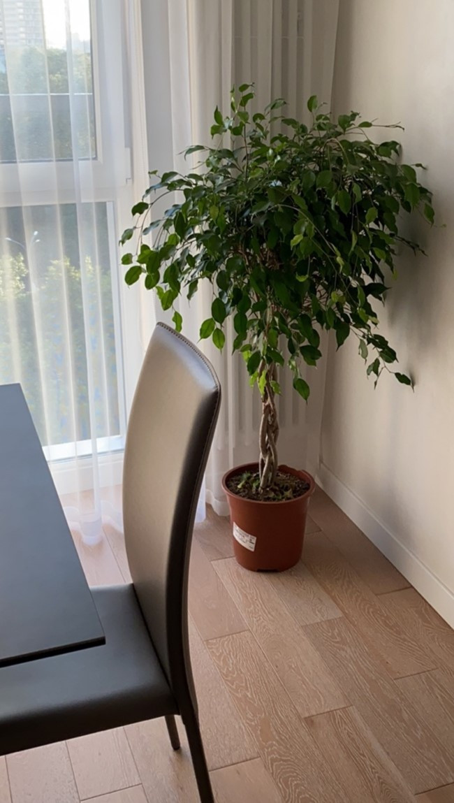 Декорирование частных квартир