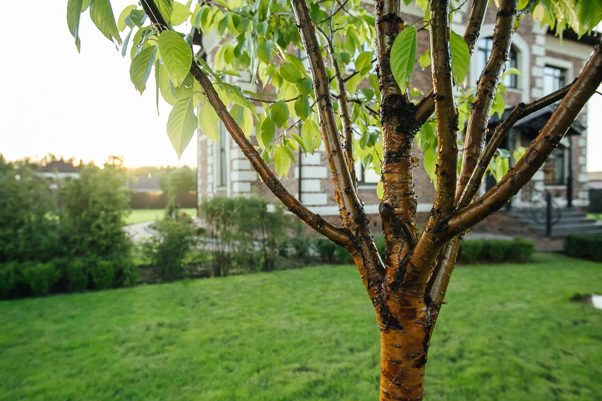 Равновесие