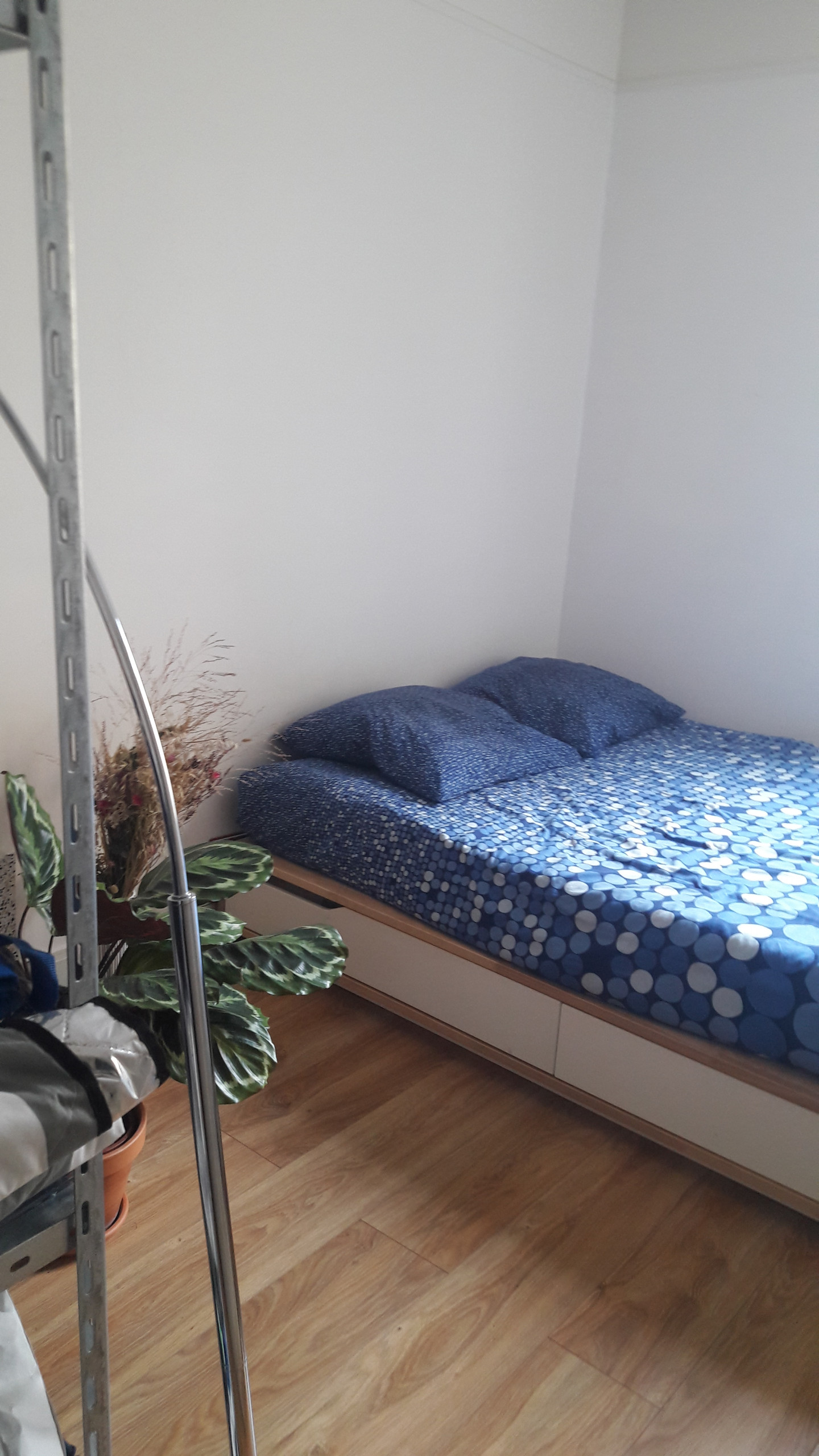 До и после: 25 кв. м. в Париже с японскими мотивами