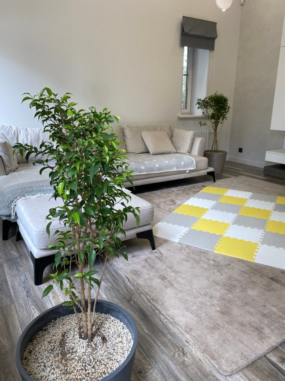 Уютная терраса и гостинная с растениями