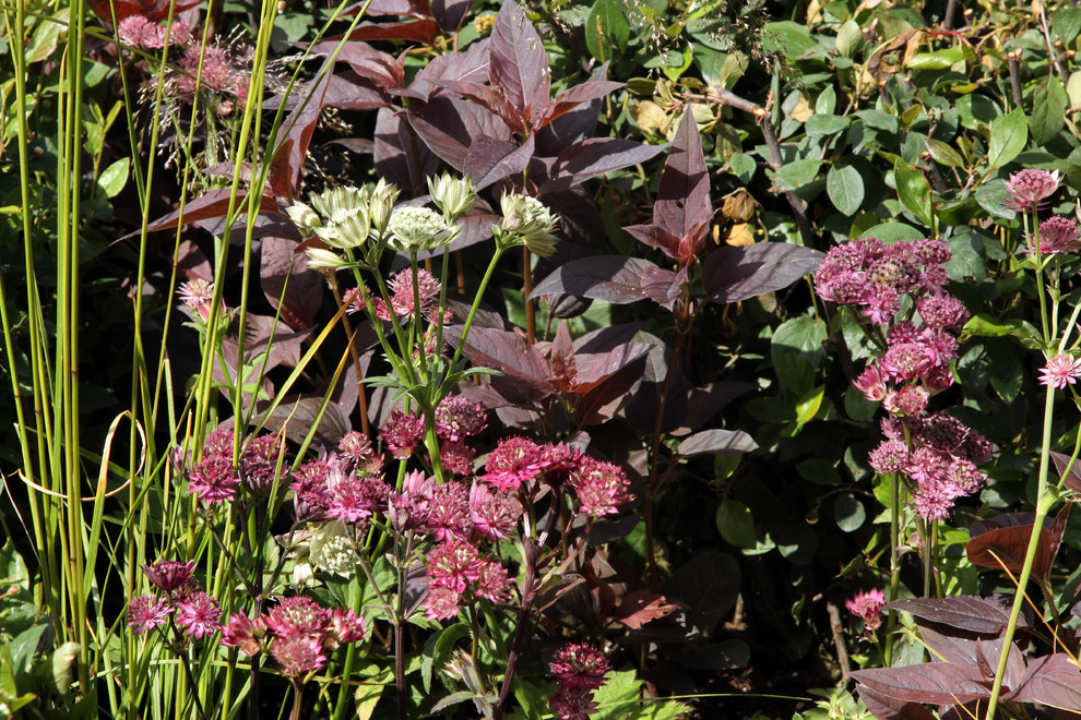 Выставочный сад "Азбука сада"